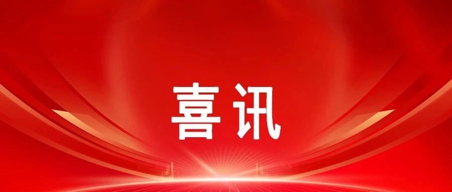 喜訊！中安科技集團財務總監(jiān)艾麗鳳榮獲2024年“西部企業(yè)數字化轉型領軍人物”稱號 